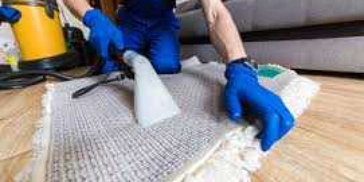 How Professional Carpet Cleaning Services Bring Life to Home Interior